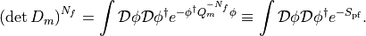 \left(\det D_m\right)^{N_f} = \int \mathcal D \phi \mathcal D \phi^\dagger e^{-\phi^\dagger Q_m^{-N_f} \phi} \equiv \int \mathcal D \phi \mathcal D \phi^\dagger e^{-S_\mathrm{pf}}.