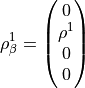 \rho^1_\beta = \left( \begin{matrix}
0 \\
\rho^1 \\
0 \\
0
\end{matrix} \right)
