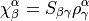 \chi^\alpha_\beta = S_{\beta \gamma} \rho^{\alpha}_\gamma